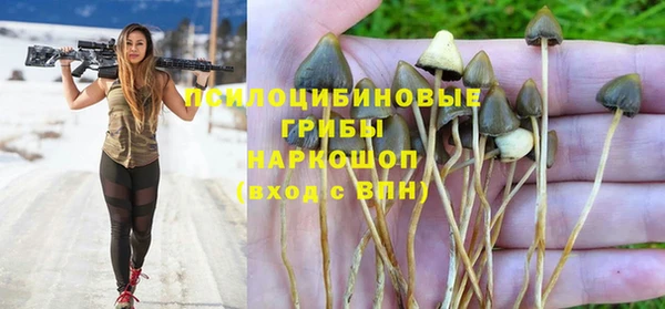 каннабис Коряжма