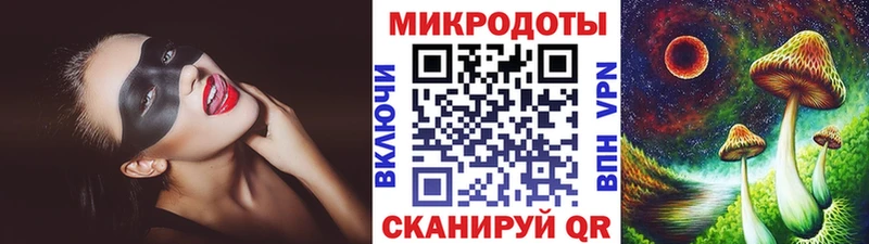 Галлюциногенные грибы Psilocybe  где можно купить   Узловая 
