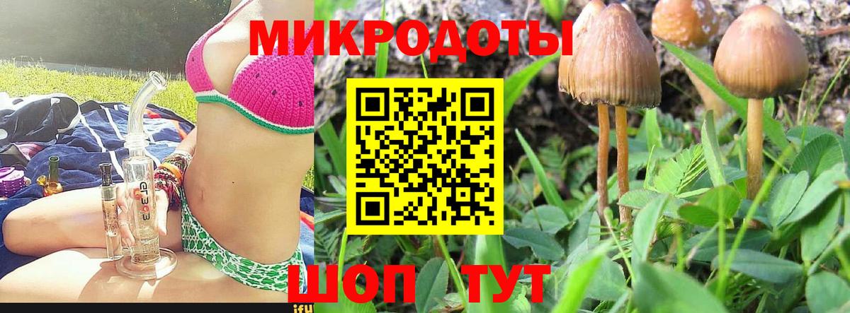 Галлюциногенные грибы Psilocybine cubensis Узловая